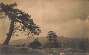 Cisco California~View of Lone Pine~1910s REAL PHOTO POSTCARD