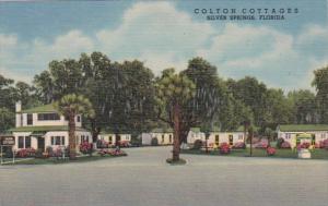 Florida Silver Springs Colton Cottages Curteich