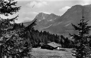 BG7353 inzell obb on der beutschen alpenstrasse   germany CPSM 14x9cm