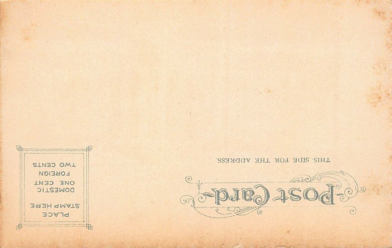 City Hall, Brooklyn, New York, Early Postcard, Unused, Souvenir Post Card Co.