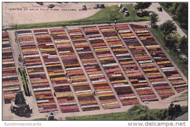 Airview Of Nelis Tulip Farm Holland Michigan