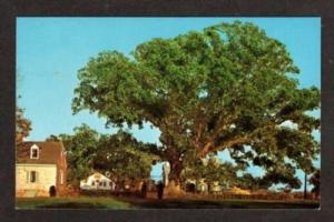 WYE MILLS MARYLAND MD Oak Tree School House Postcard PC