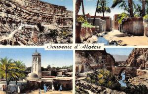 BR47147 L aures oasis de Rhoufi constantine   Algeria