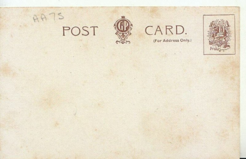 Middlesex Postcard - The Maze - Hampton Court Palace - Ref TZ10516