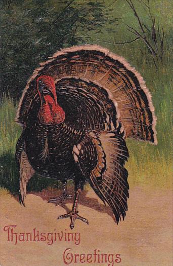 PFB Serie 7721 Thanksgiving Greetings Turkey Embossed