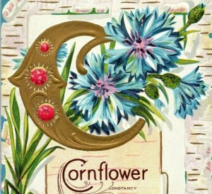 C.1910 Corn Flower Constancy Language Of Flowers Gilt Vintage Postcard P77