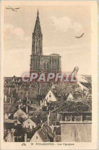 Postcard Old Strasbourg on Storks