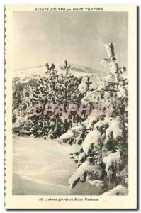 Old Postcard Winter Sports Mont Ventoux frosted trees to Mont Ventoux