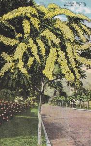 Hawaii Honolulu The Golden Shower Tree