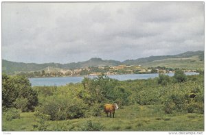 Village and Its Bay, Bull, MARTINIQUE, 40-60's