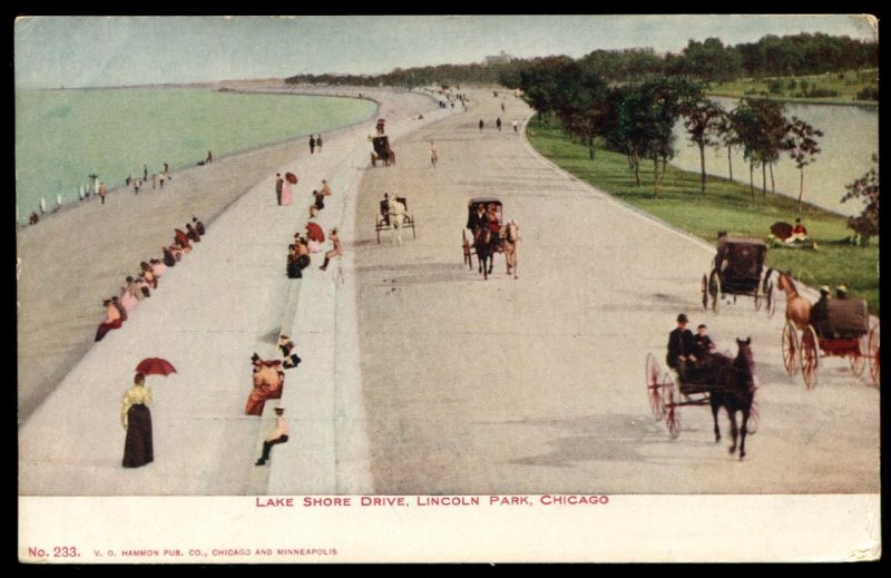 Lake Shore Drive, Lincoln Park, Chicago. V.C. Hammon Undivided Back