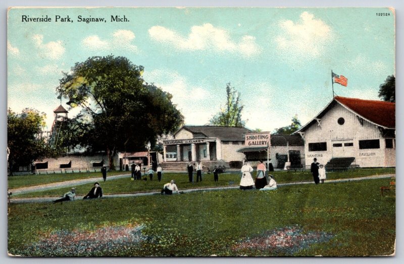 Saginaw Michigan~Riverside Park~Shooting & Laughing Gallery~Dance Hall~1910