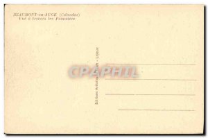 Old Postcard Beaumont en Auge View through the Apple Trees