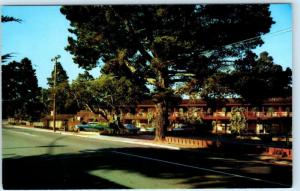 MONTEREY, California  CA   Roadside  LA CASA SIESTA MOTEL  ca 1960s  Postcard