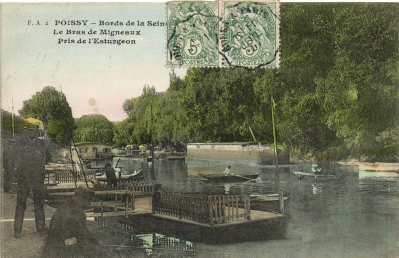 CPA POISSY-Bords de la SEINE-Le Bras de Migneaux (260380)