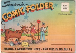 20 Comic Views, Tichnor Linen Folder Postcard, Art By Walt Munson And Faber