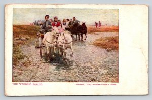 1906   The Wedding Party   Horse and Buggy    Postcard