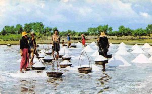 Working in the Salt Fields Cholburi Thailand 1960s postcard