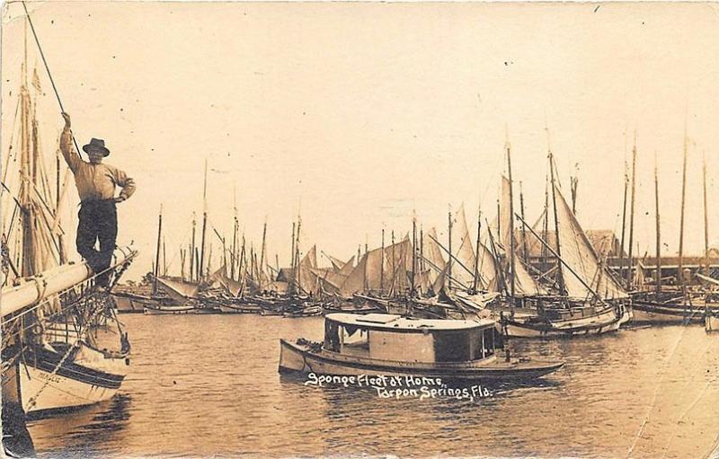 Tarpon Springs FL Sponge Fleet at Home Boats RPPC Postcard