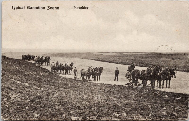 Typical Canadian Scene Ploughing Farming Agriculture Horses Men 1907 Postcard H4