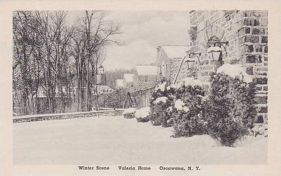 New York Oscawana Winter Scene Valeria Home Albertype