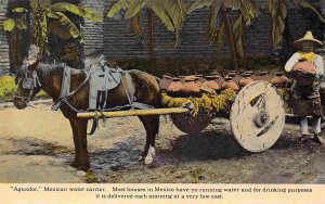 Mexican Water Carrier Ox Wagon Aguador Mexico 1910c postcard