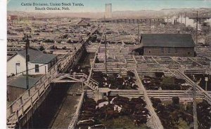 Nebraska South Omaha Union Stock Yards Cattle Division