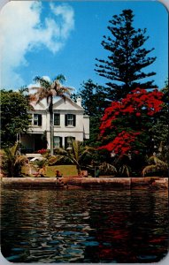 Bermuda The Brilliant Red Of The Poinciana Hamilton Vintage Postcard C190