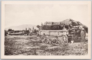 Salmon Arm BC Threshing Wheat Farming Machinery Canada Heliotype Postcard H71