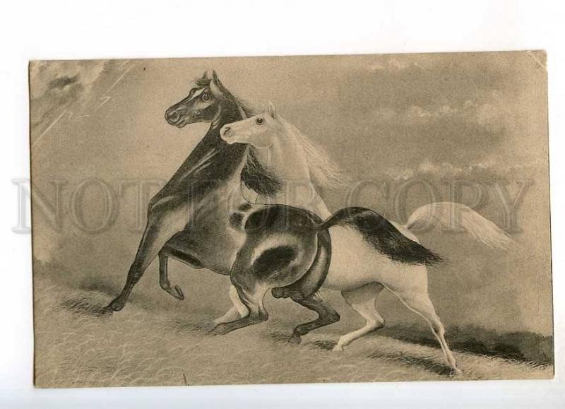 240215 HORSE Lovers in Storm Mustang Vintage postcard