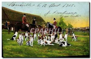 Postcard Old Dog Dogs Hunting hounds has Cavaliers