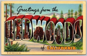 Vtg Large Letter Greetings From The Redwoods Of California CA 1940s Postcard