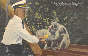 Feeding the Monkeys on Jungle Cruise - Silver Springs, Florida FL  