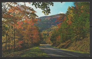 Tennessee - Highway 441 Scene In The Fall - [TN-103]