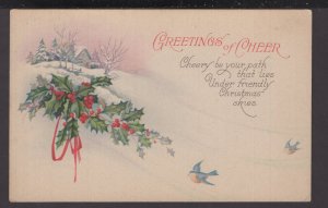 GREETINGS of CHEER Under friendly Christmas skies pm1925 - DB
