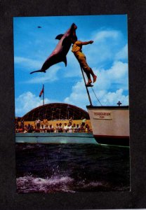 FL Seaquarium Porpoise Marine Life Miami Florida Postcard