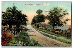 c1910 Lovers Lane Road Trees Plants St. Joseph Missouri Vintage Antique Postcard