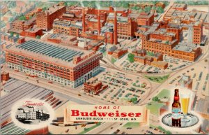 Budweiser Anheuser-Busch St Louis Vignette with Tray Bottle Glass Postcard W11