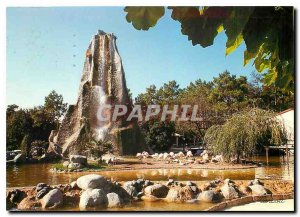 Postcard Modern Zoo of Palmlyre The rock and the Flamingos