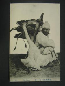 KOREA COREA PORULTERER c1910 Postcard