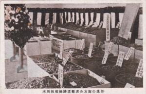 Japan Tokyo Market Scene