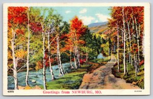 Greetings From Newburg Missouri~Countryside Road Scene~Creek~Linen 1942 Postcard