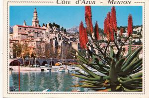 BF14504 menton le port et la vieille ville france front/back image