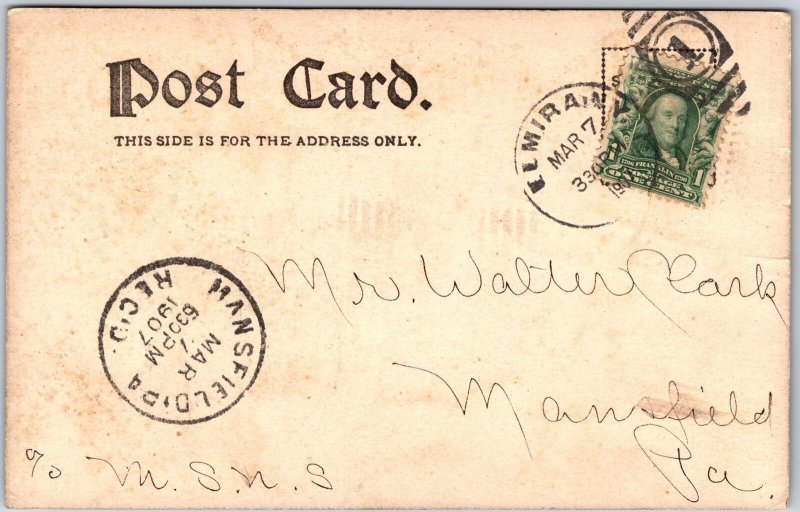 Elmira New York NY, 1907  Old Houses, Mansion Buildings, Driveways, Postcard