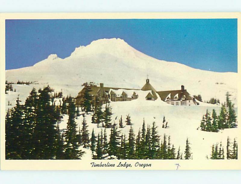 Unused Pre-1980 TIMBERLINE MOTEL Welches - Pine Grove OR u1928