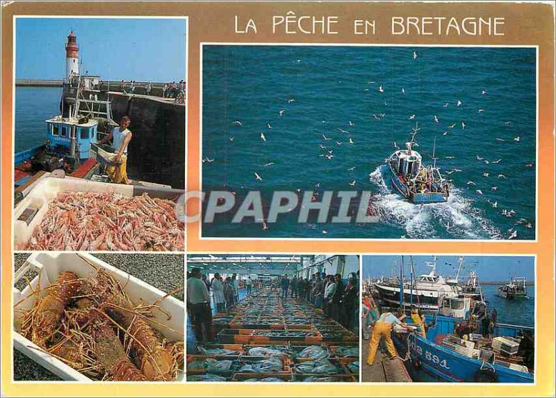 Postcard Modern Colors of Brittany fishing Back