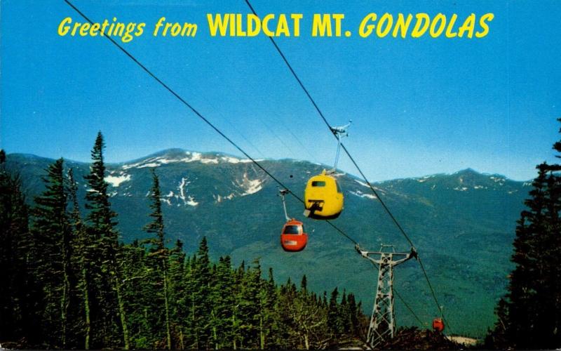 New Hampshire Jackson Pinkham Notch Greetings From Wildcat Mountain Gondolas