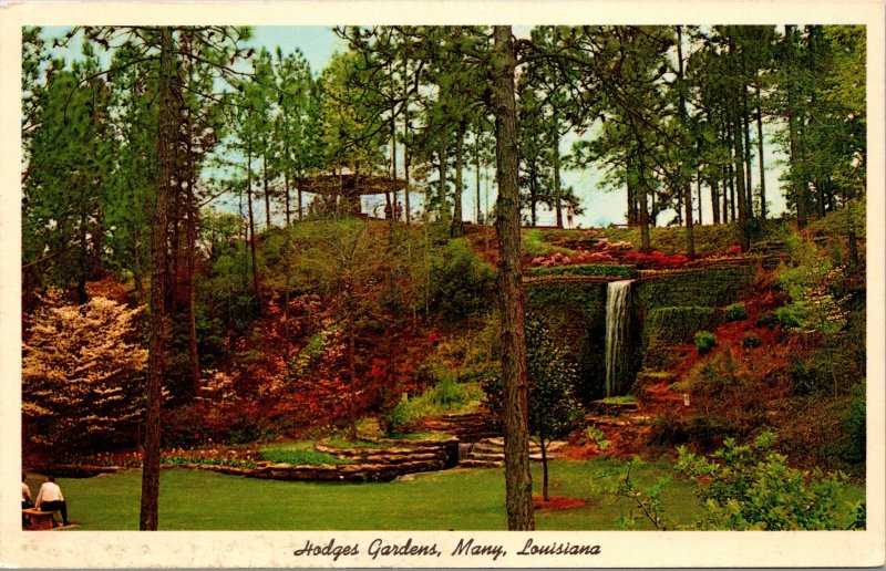 Many LA Hodges Gardens Postcard unused 1950s