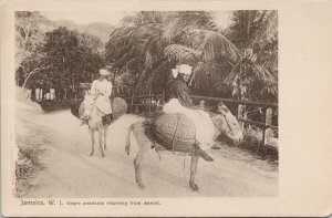 Jamaica WI Negro 'Peasants Returning From Market' Mules Unused Postcard E71