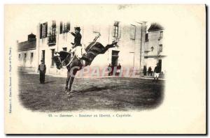 Old Postcard Equestrian Horse Jumper in Saumur Capriole freedom